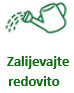 Icon_Kantica_redovito